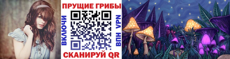 Псилоцибиновые грибы мухоморы  hydra ссылки  Сертолово  цены наркотик 